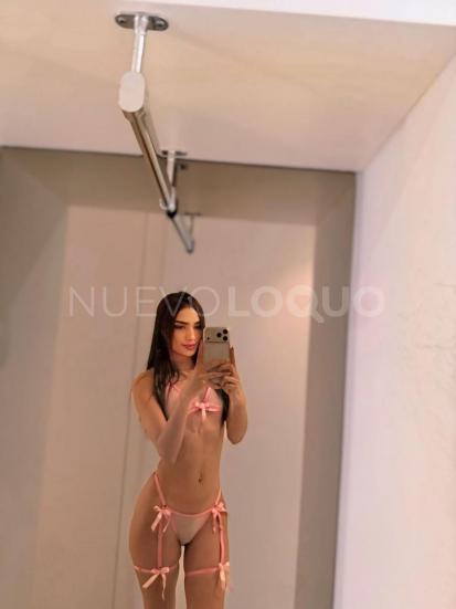 NuevoLoquo5
