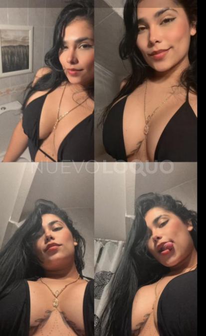 NuevoLoquo3