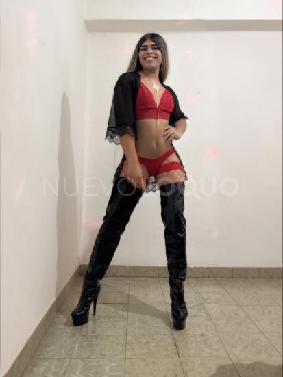 NuevoLoquo0