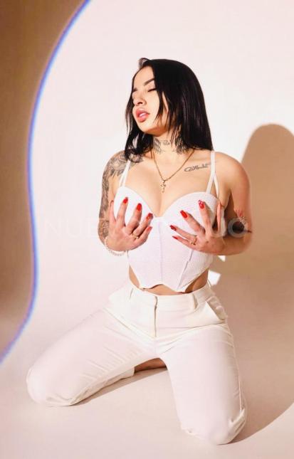 NuevoLoquo3