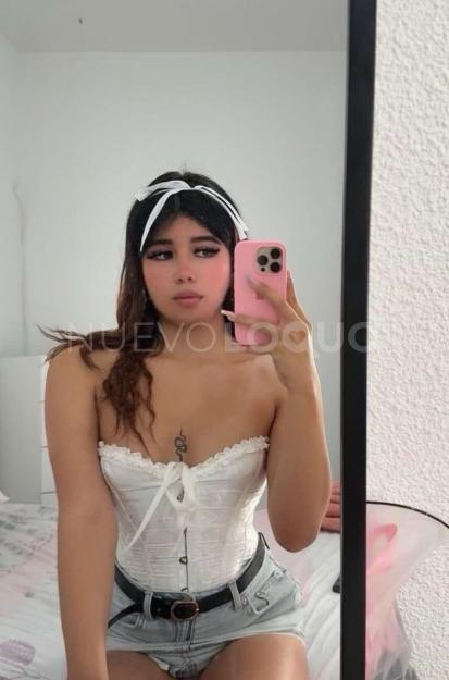 NuevoLoquo3