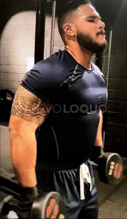 NuevoLoquo3
