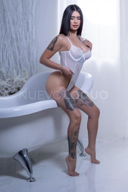 NuevoLoquo3