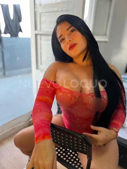 NuevoLoquo4