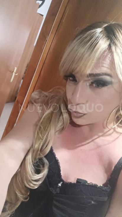NuevoLoquo2