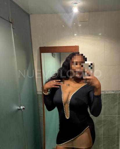 NuevoLoquo3