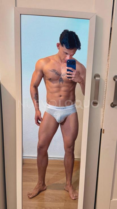 NuevoLoquo3
