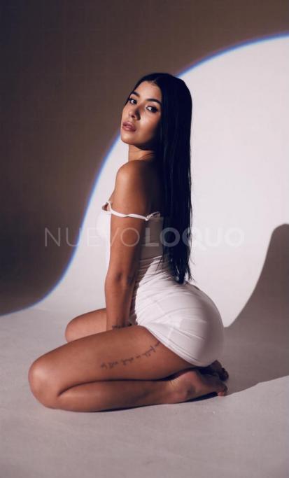 NuevoLoquo3