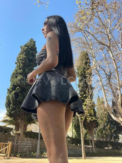 NuevoLoquo2