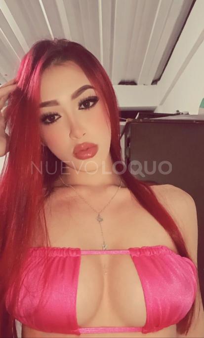 NuevoLoquo5