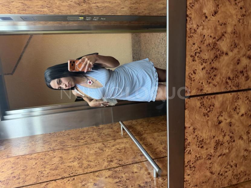 NuevoLoquo2