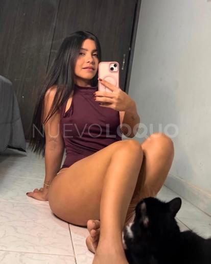 NuevoLoquo5