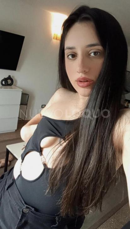 NuevoLoquo2