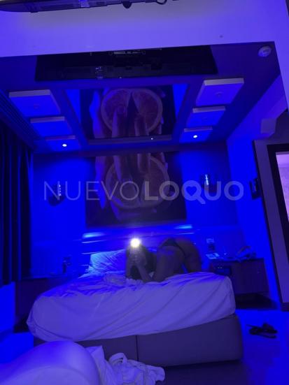 NuevoLoquo4