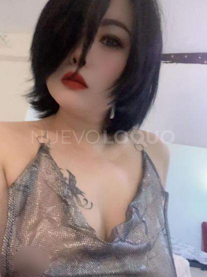 NuevoLoquo3