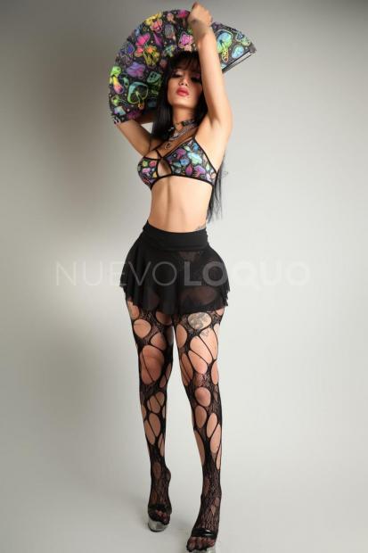 NuevoLoquo3