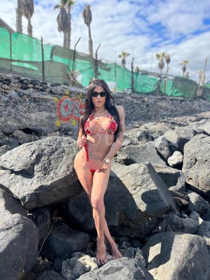 NuevoLoquo1