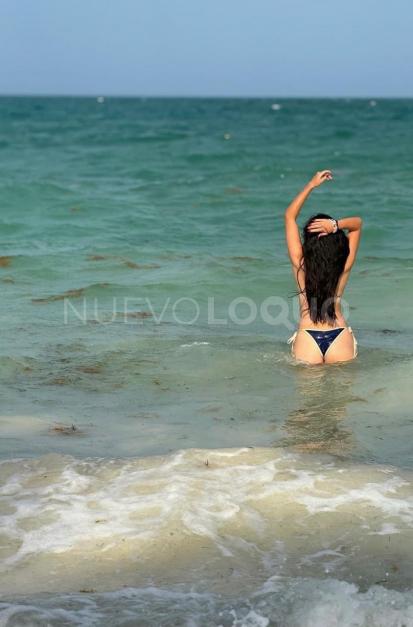 NuevoLoquo2