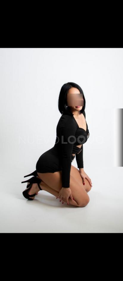 NuevoLoquo2