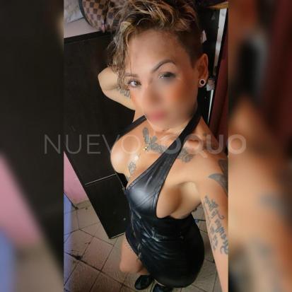 NuevoLoquo1