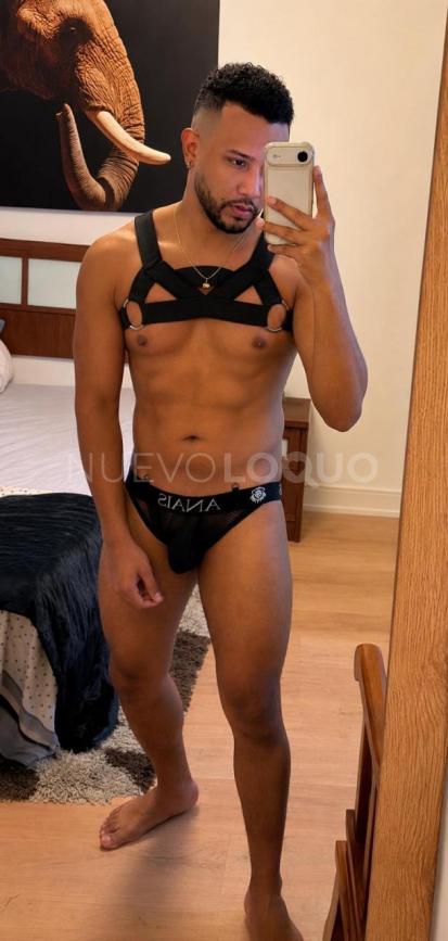 NuevoLoquo2