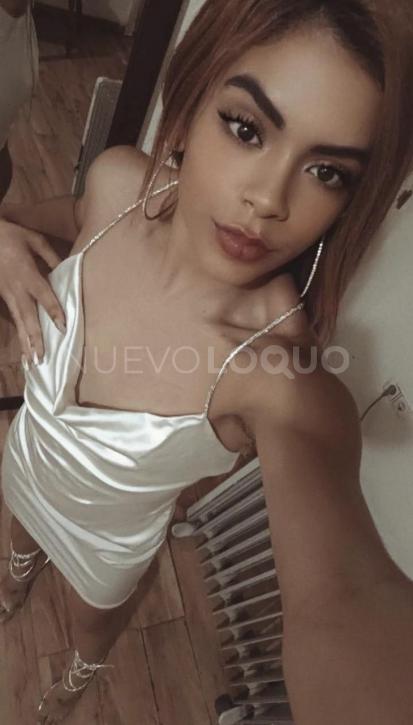 NuevoLoquo2