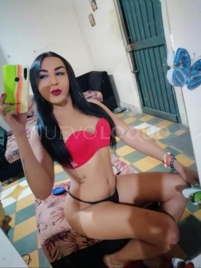 NuevoLoquo1