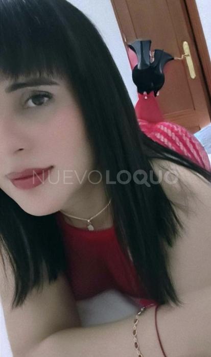 NuevoLoquo3
