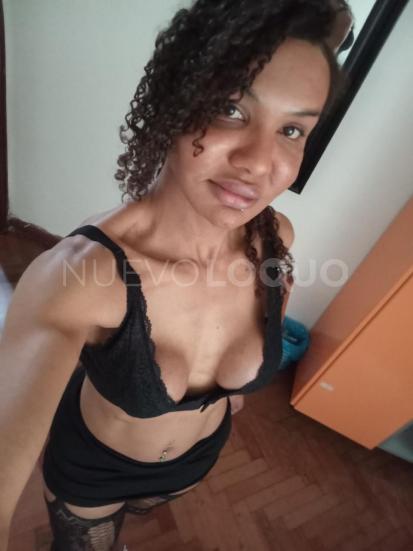 NuevoLoquo1
