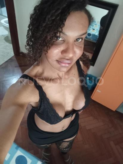 NuevoLoquo3