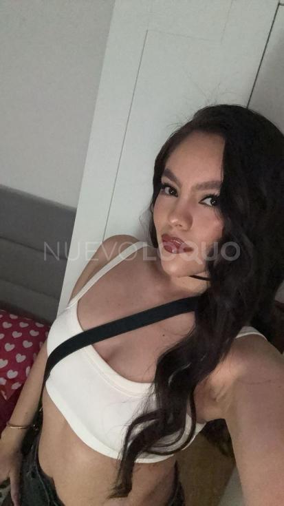NuevoLoquo2