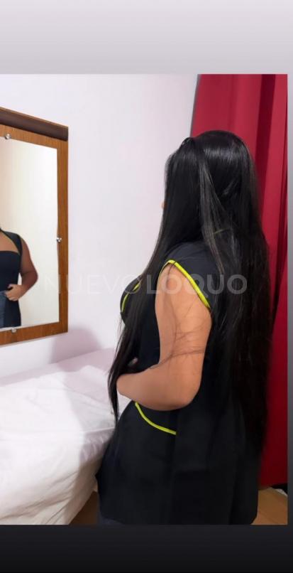NuevoLoquo2