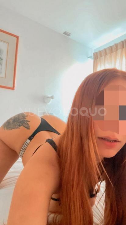 NuevoLoquo1
