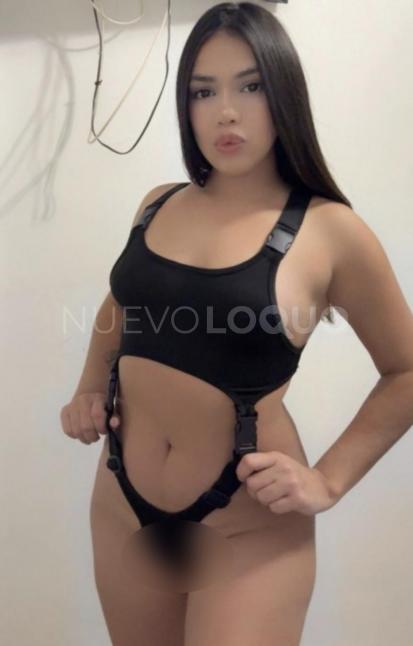 NuevoLoquo1