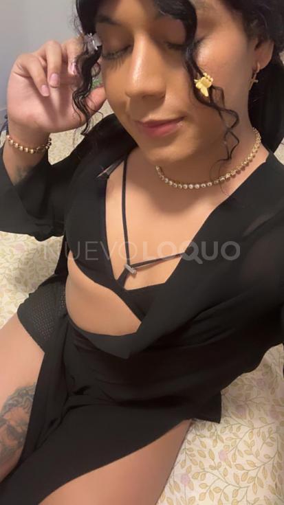 NuevoLoquo3