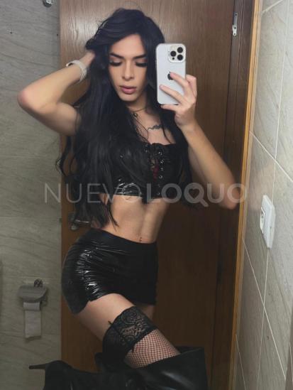 NuevoLoquo3