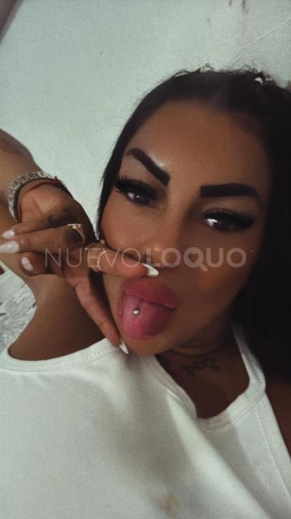 NuevoLoquo2