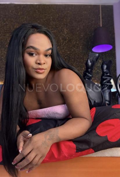 NuevoLoquo0