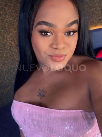 NuevoLoquo3