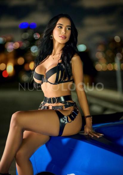 NuevoLoquo1