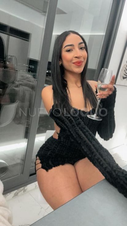 NuevoLoquo2