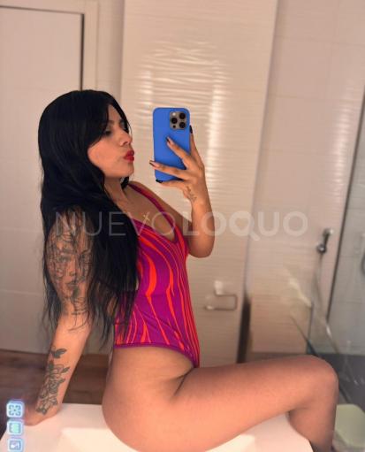NuevoLoquo2