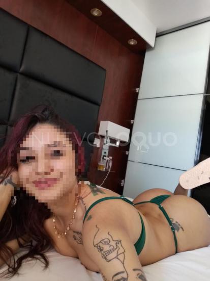 NuevoLoquo1