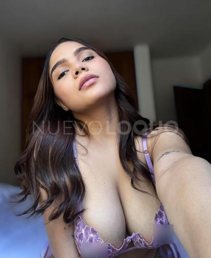 NuevoLoquo3