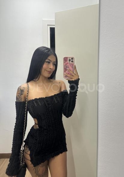 NuevoLoquo3