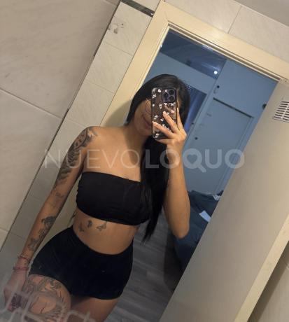 NuevoLoquo3