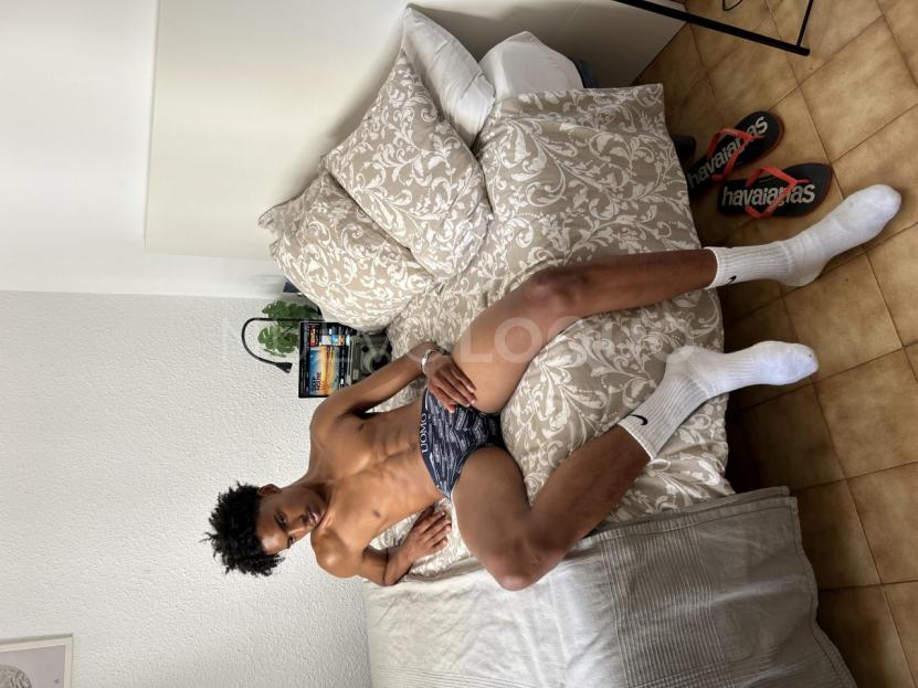 NuevoLoquo3