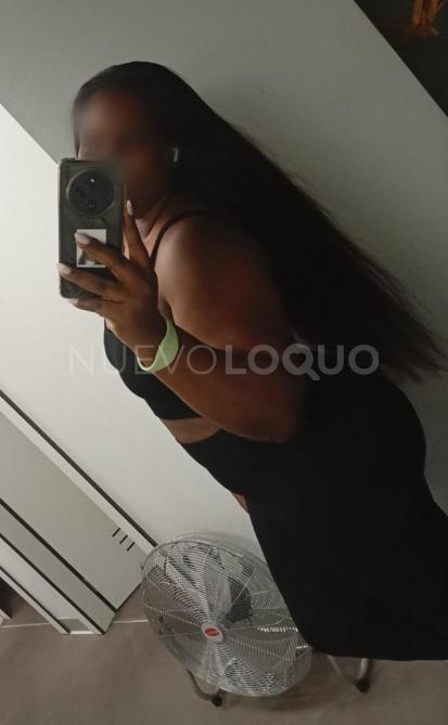 NuevoLoquo3