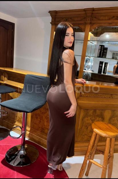 NuevoLoquo2