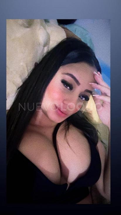 NuevoLoquo1